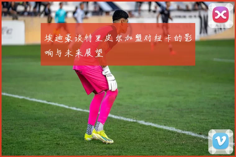 埃迪豪谈特里皮尔加盟对纽卡的影响与未来展望